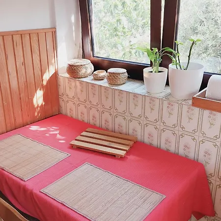 Cosy Flat On Flurishing Urban Homestead