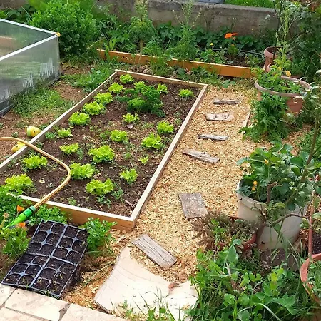Apartman Cosy Flat On Flurishing Urban Homestead *